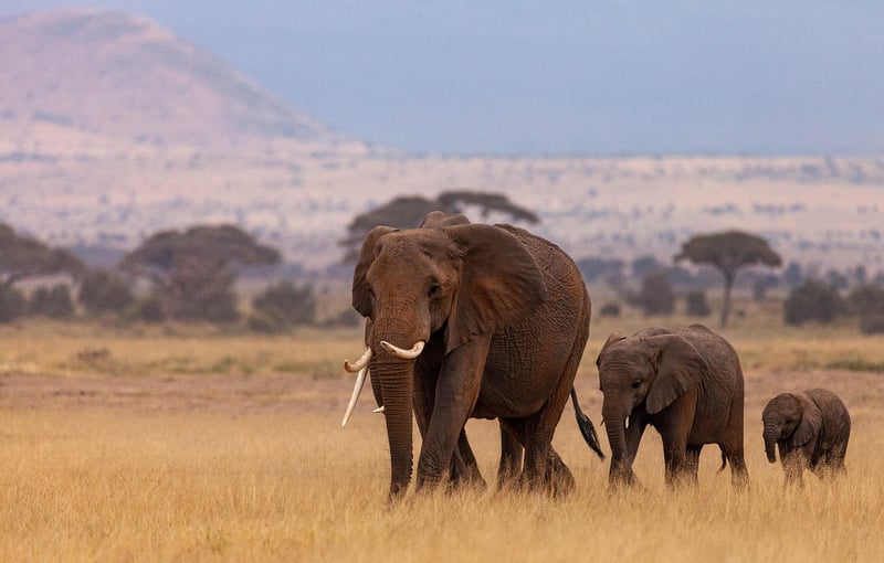 Kruger National Park, South Africa