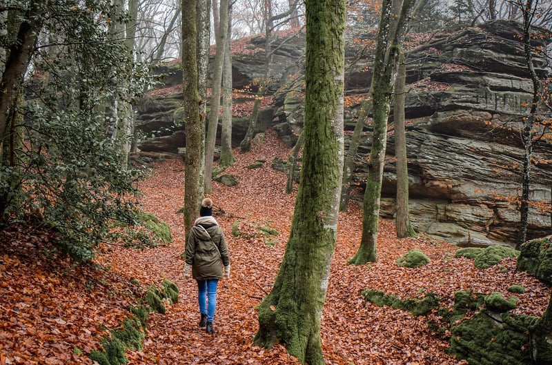 Hiking in the wilderness