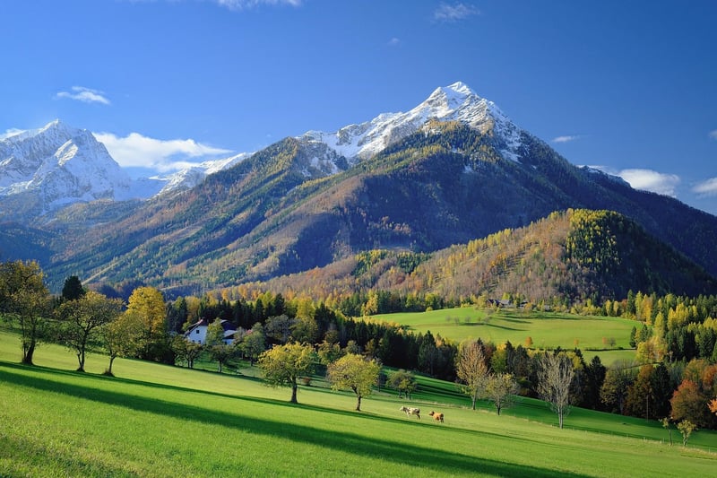 Mountain Expedition